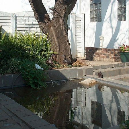 Liongate Bed And Breakfast Edenvale Bagian luar foto